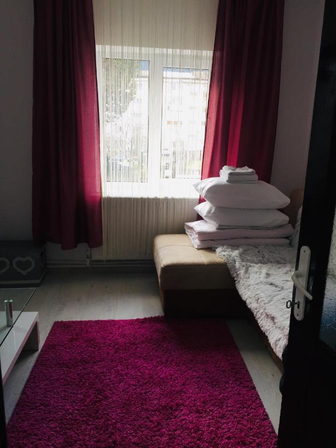 Alessia Residence Câmpulung Moldovenesc Dış mekan fotoğraf